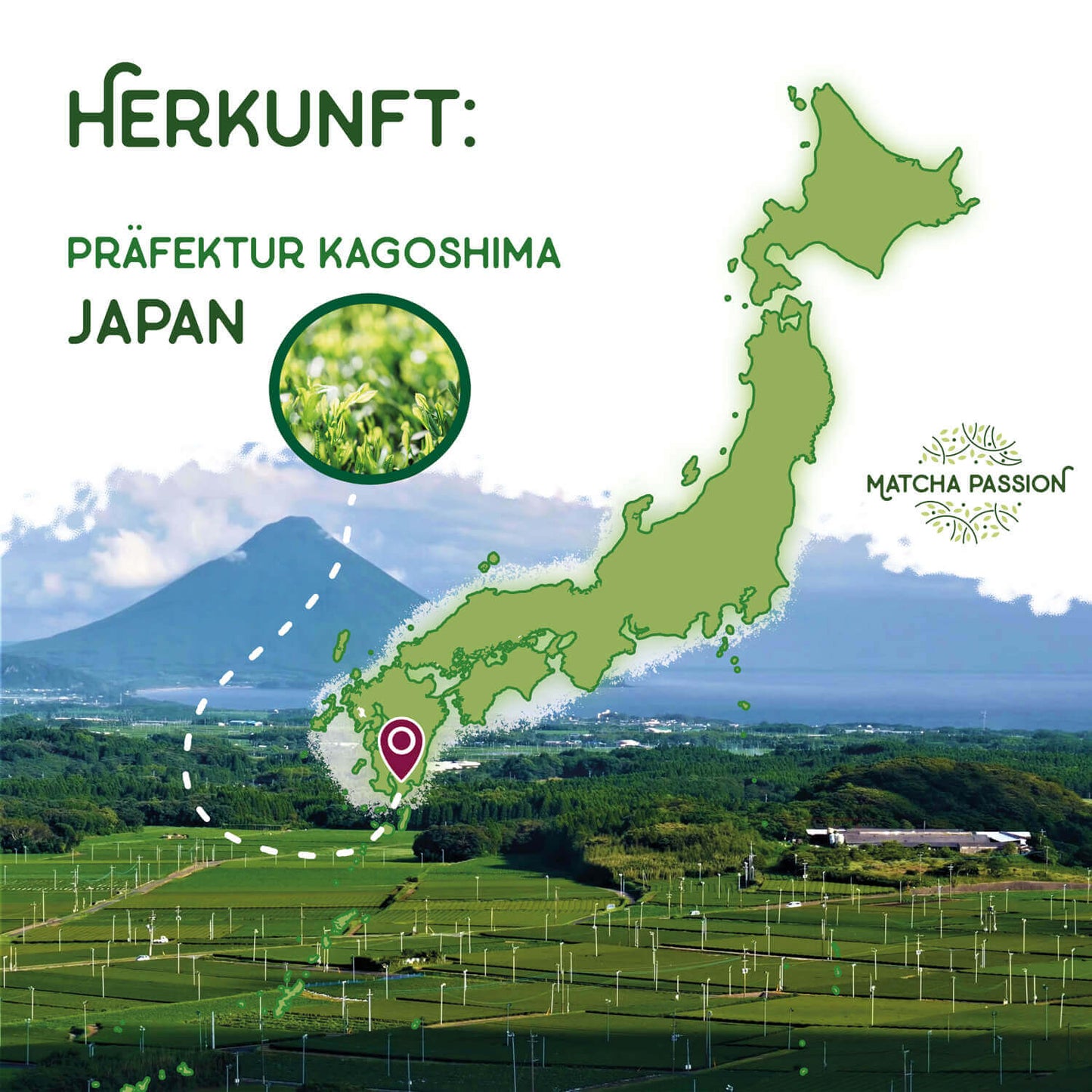 Bio Matcha Herkunft Japan Kagoshima Matcha Passion 1500x1500
